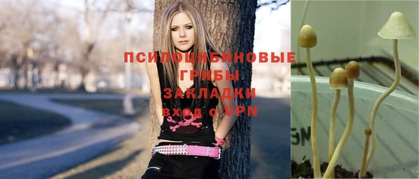 MDMA Пролетарск