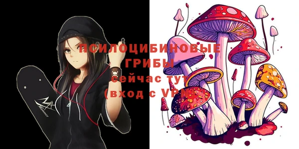 дурь Абдулино