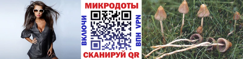 площадка формула  Донецк  Псилоцибиновые грибы Psilocybine cubensis 