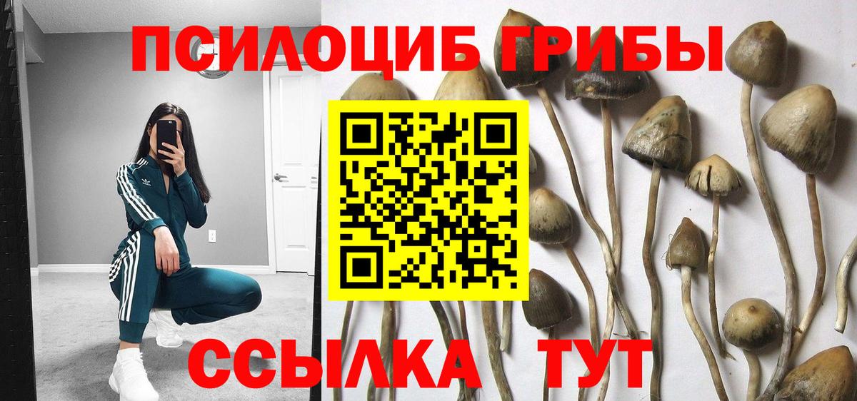 Галлюциногенные грибы Cubensis Донецк